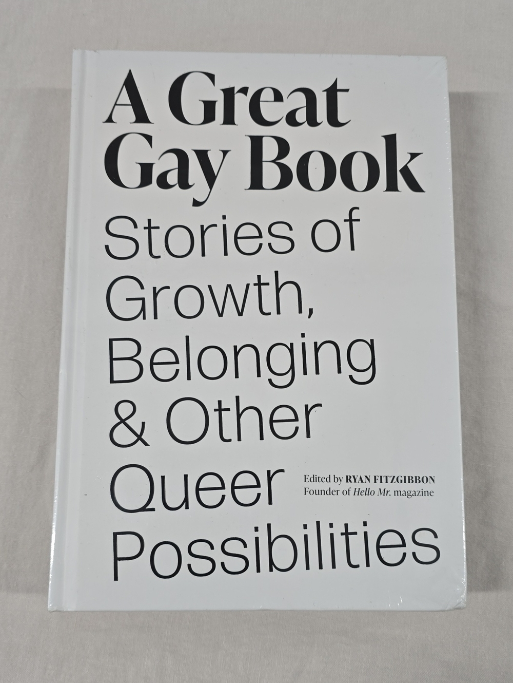 A Great Gay Book